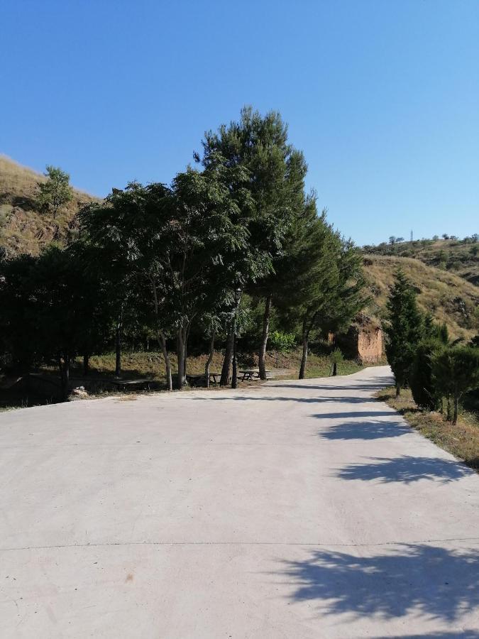 Apartamentos Rurales Camino Del Cid Castejón de las Armas Eksteriør bilde