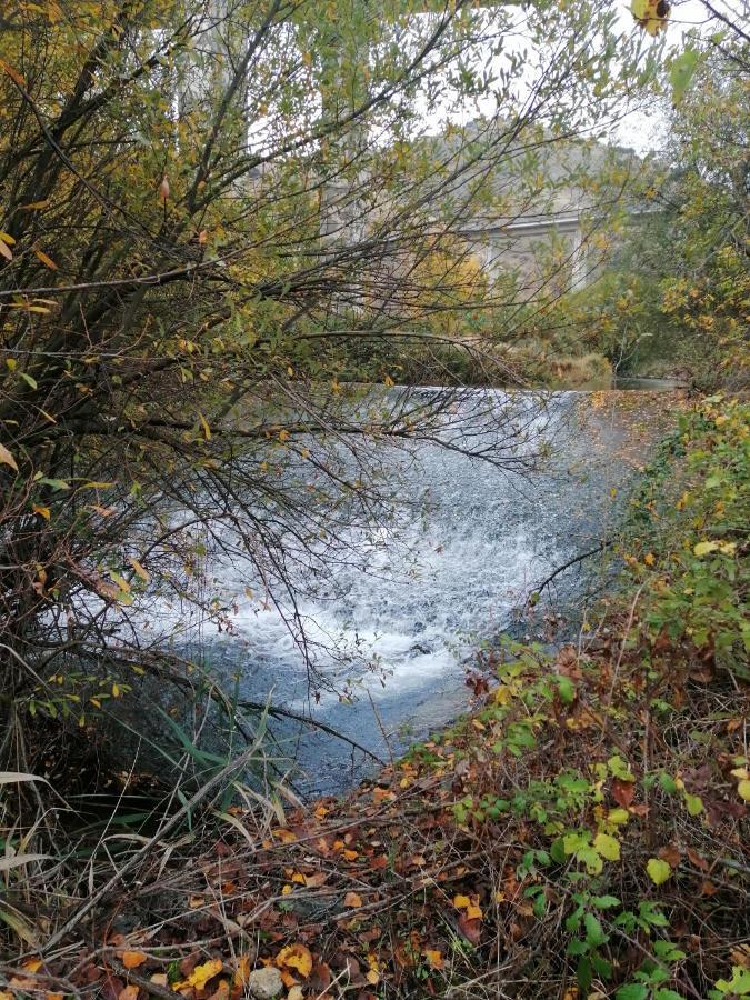 Apartamentos Rurales Camino Del Cid Castejón de las Armas Eksteriør bilde