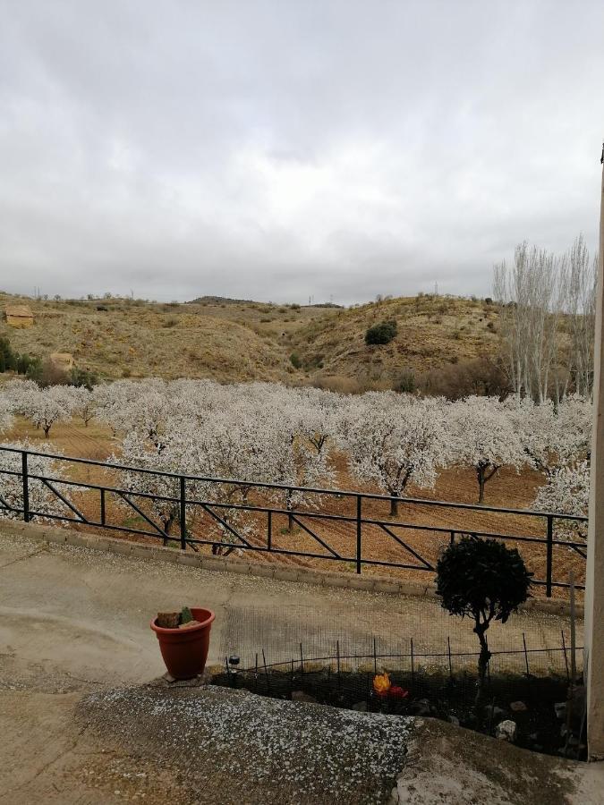 Apartamentos Rurales Camino Del Cid Castejón de las Armas Eksteriør bilde