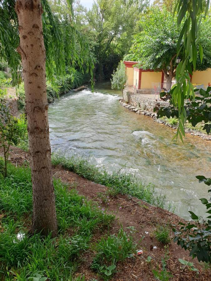 Apartamentos Rurales Camino Del Cid Castejón de las Armas Eksteriør bilde