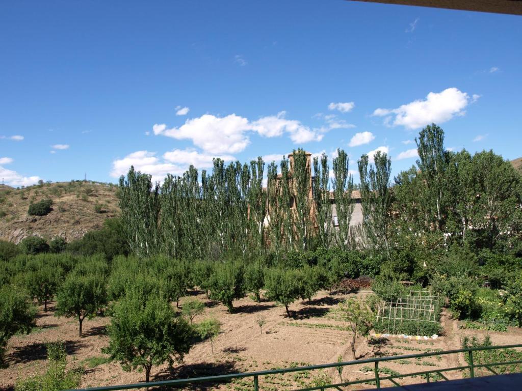 Apartamentos Rurales Camino Del Cid Castejón de las Armas Eksteriør bilde