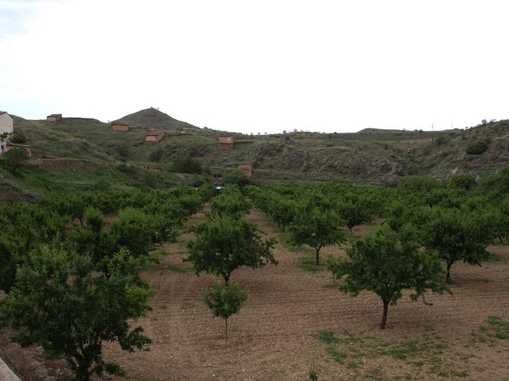 Apartamentos Rurales Camino Del Cid Castejón de las Armas Eksteriør bilde