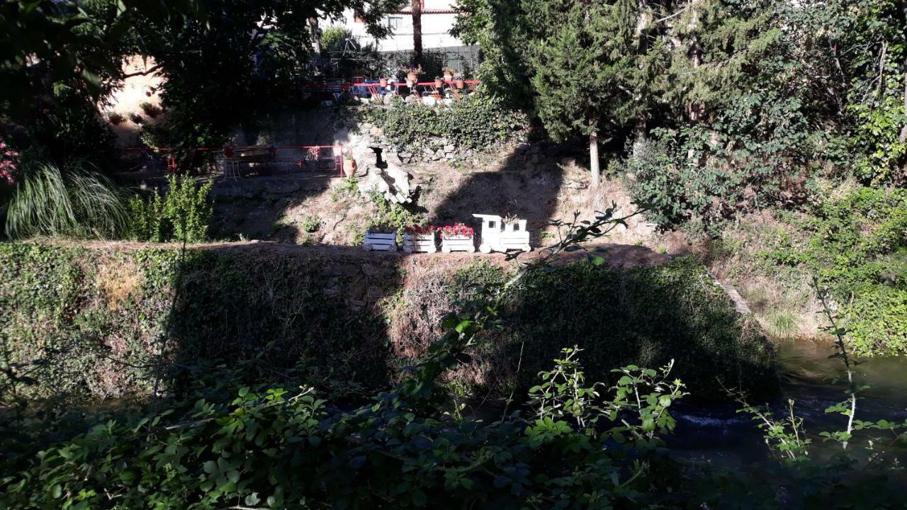 Apartamentos Rurales Camino Del Cid Castejón de las Armas Eksteriør bilde