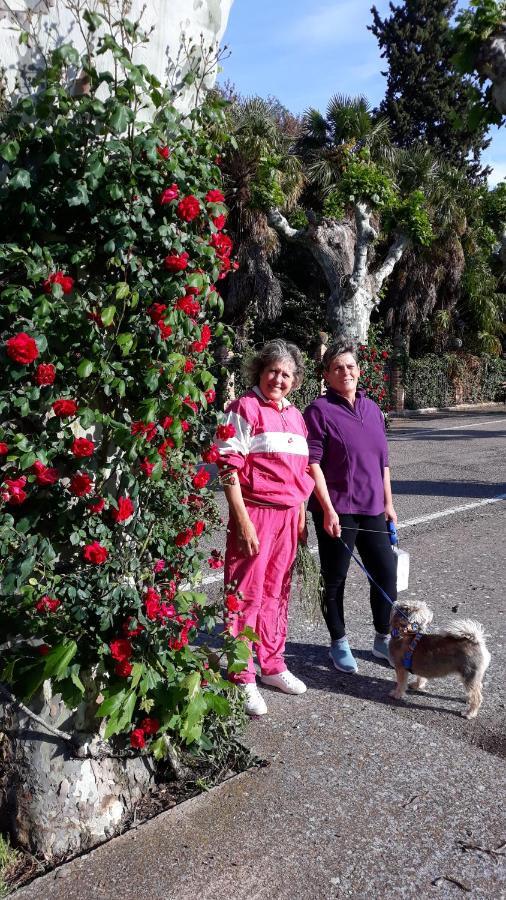 Apartamentos Rurales Camino Del Cid Castejón de las Armas Eksteriør bilde