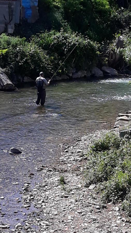 Apartamentos Rurales Camino Del Cid Castejón de las Armas Eksteriør bilde